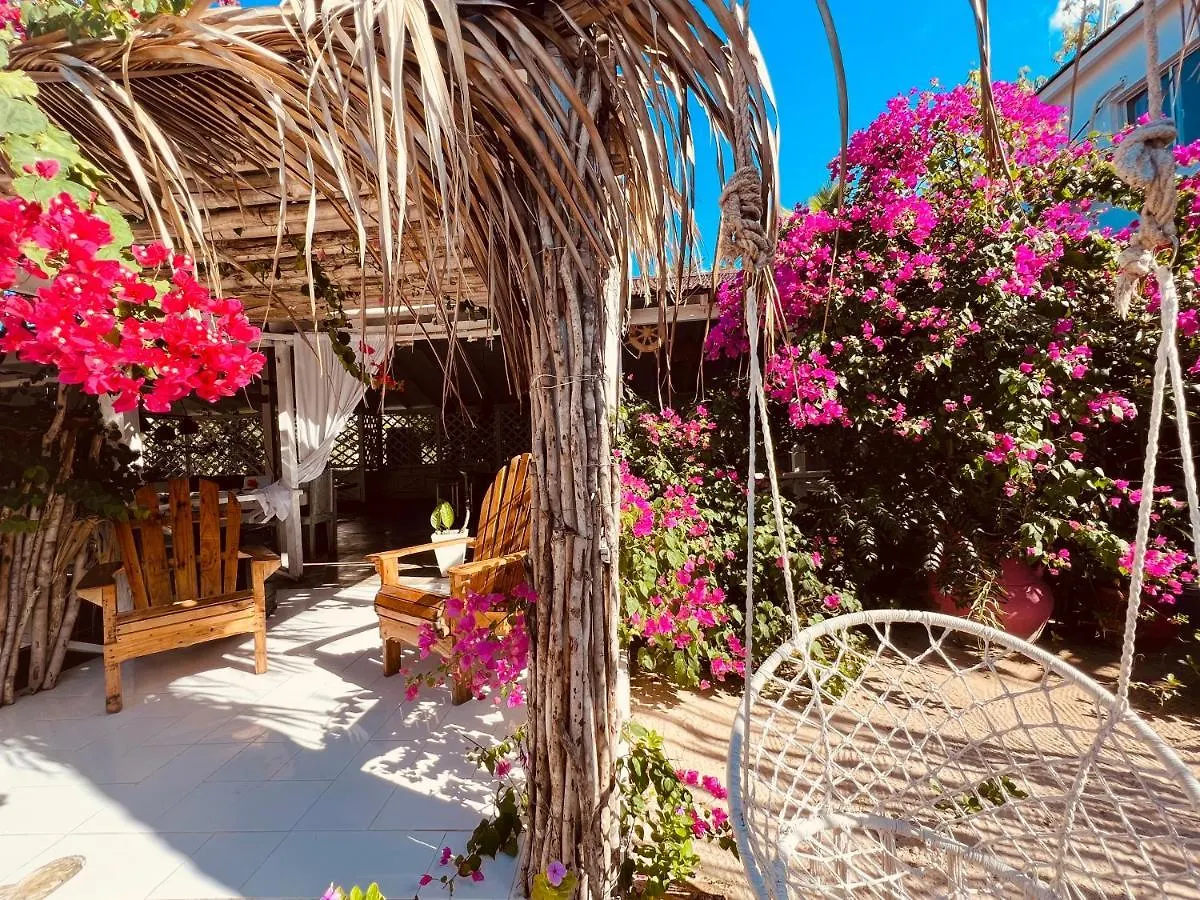 Bluemare Ecohotel Frente A La Playa Ensendada Punta Rucia 0*,