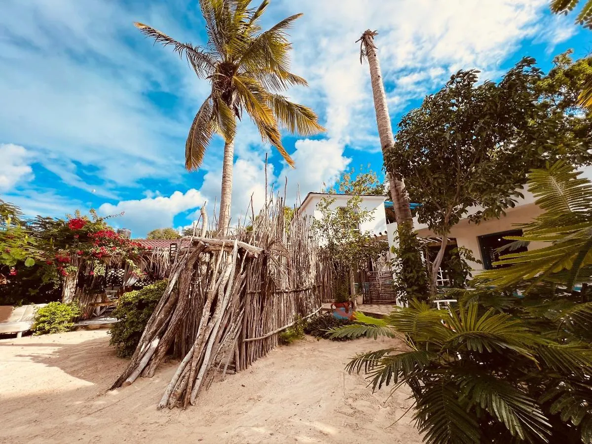 Bluemare Ecohotel Frente A La Playa Ensendada Punta Rucia República Dominicana