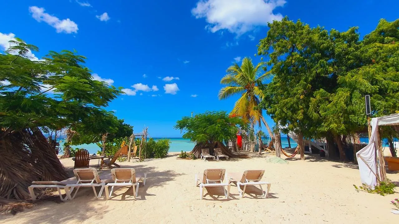 Hotel Bluemare Ecohotel Frente A La Playa Ensendada Punta Rucia República Dominicana
