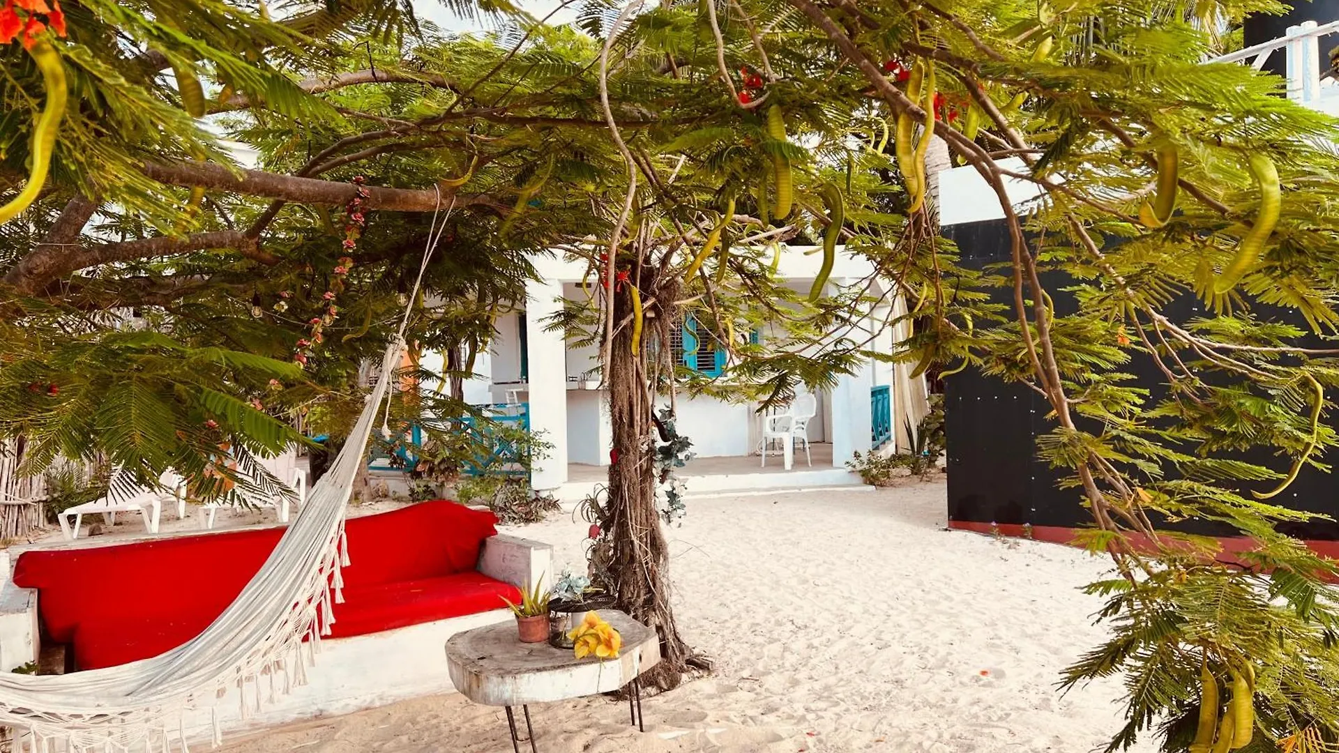 Hotel Bluemare Ecohotel Frente A La Playa Ensendada Punta Rucia República Dominicana