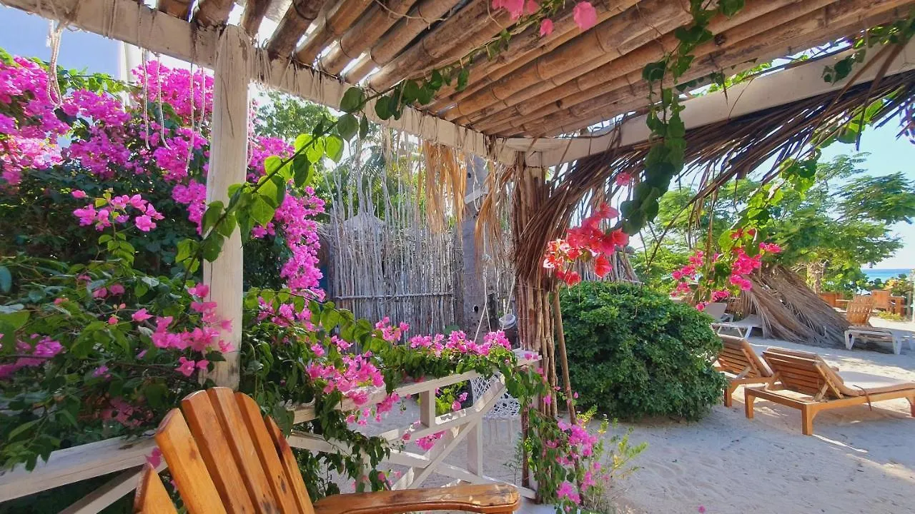Hotel Bluemare Ecohotel Frente A La Playa Ensendada Punta Rucia
