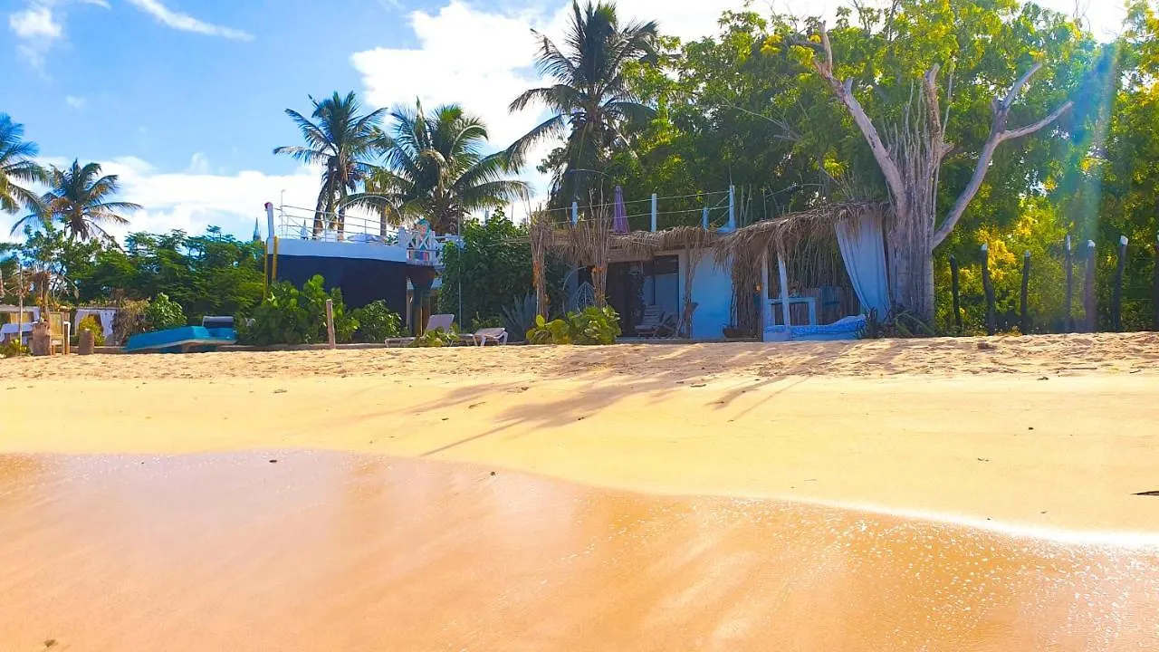 Bluemare Ecohotel Frente A La Playa Ensendada 蓬塔露奇亚 0*,