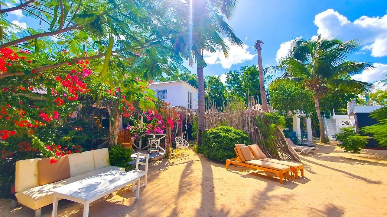 Bluemare Ecohotel Frente A La Playa Ensendada 蓬塔露奇亚 酒店