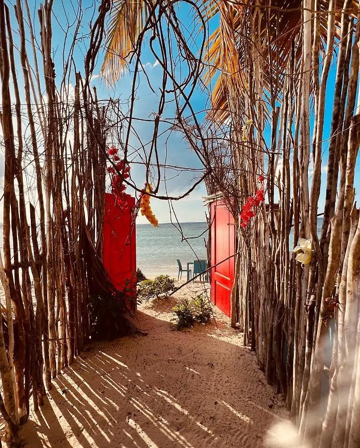 Bluemare Ecohotel Frente A La Playa Ensendada 蓬塔露奇亚