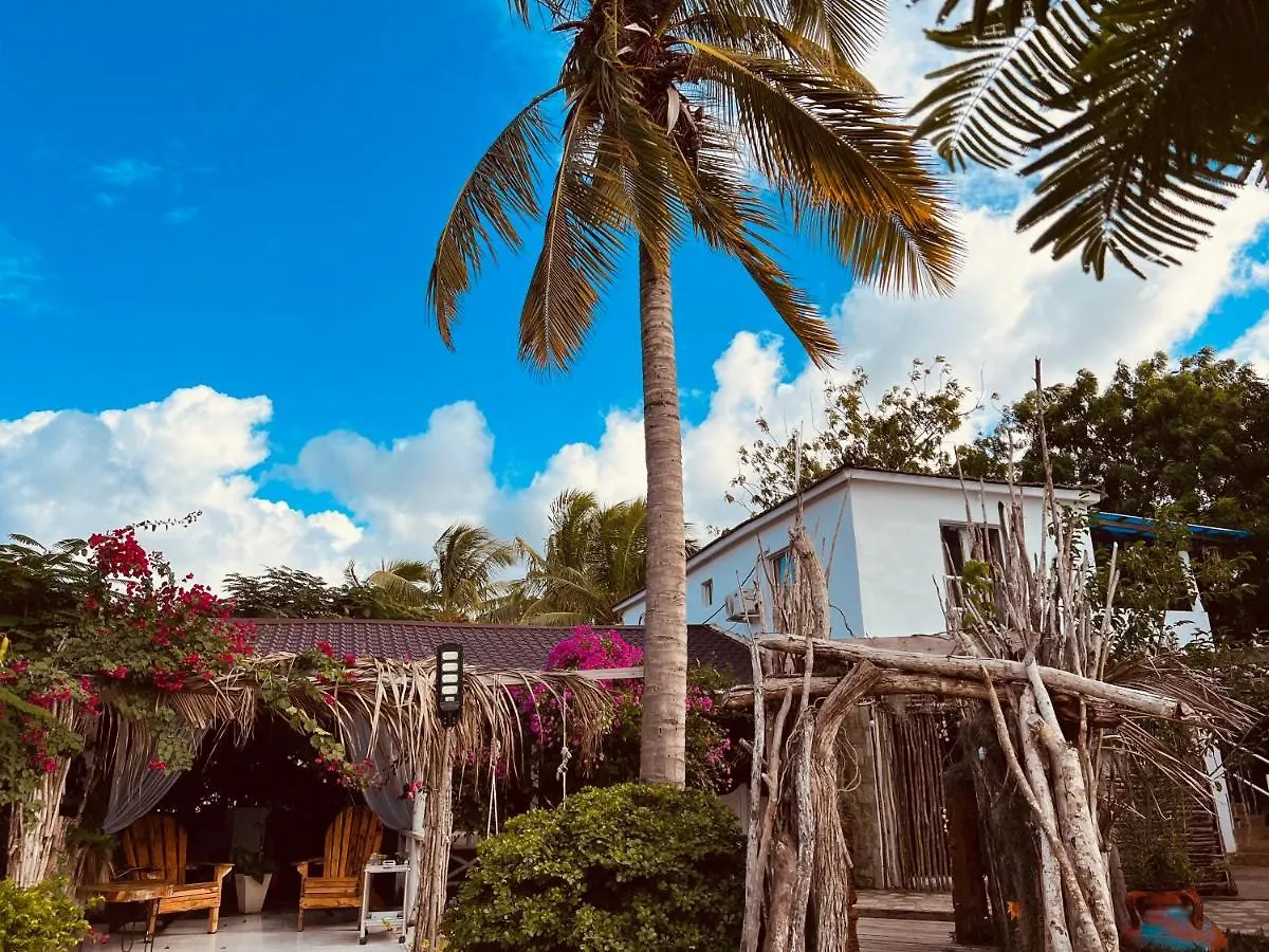 酒店 Bluemare Ecohotel Frente A La Playa Ensendada 蓬塔露奇亚 多米尼加共和国