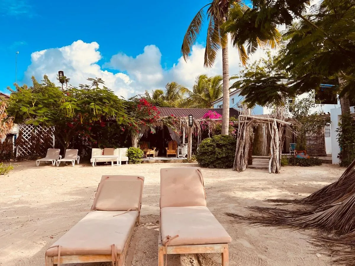 Bluemare Ecohotel Frente A La Playa Ensendada 蓬塔露奇亚