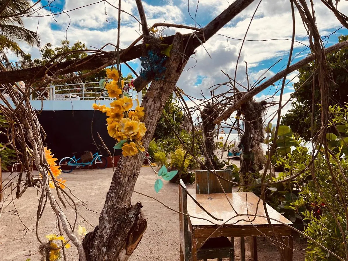 Bluemare Ecohotel Frente A La Playa Ensendada Punta Rucia