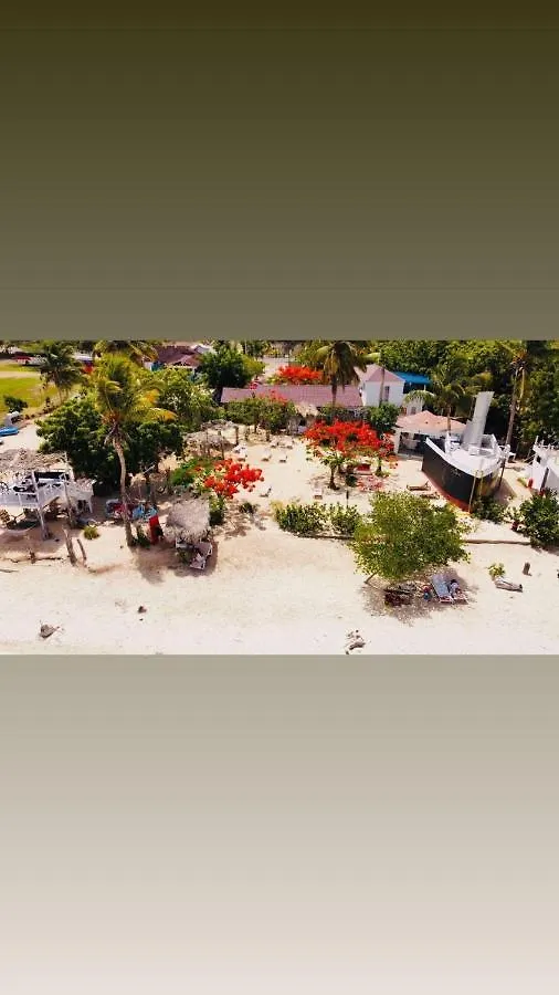 酒店 Bluemare Ecohotel Frente A La Playa Ensendada 蓬塔露奇亚