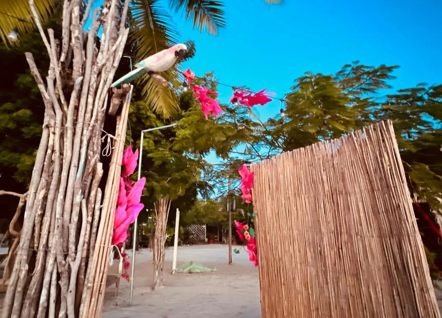 Bluemare Ecohotel Frente A La Playa Ensendada 蓬塔露奇亚 0*,  多米尼加共和国